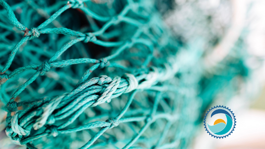 Ghost Fishing Net To Be Turned into rPET Fiber