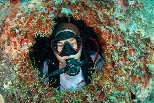 Redeem 500 points to donate $5 to Reef Renewal USA. Here's how! Step 1: Add Donation to Reef Renewal USA...
Got Points? Donate Them!
Start using your points to protect and restore our coral reefs![Redeem 500 points to donate $5 to Reef Renewal USA. Here's how! Step 1: Add Donation to Reef Renewal USA...
![, autumn-ecostick, Autumn Ecostick