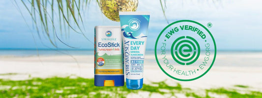 Holiday Consumer Emails 2023 - bestseller, Active Lotion Product Front Part - Stream2Sea, Lotion Product Back Part - Stream2Sea, Shampoo Bodywash - Stream2Sea, EWG Verified Reef safe mineral sunscreen, Happy Turtle Stream2Sea