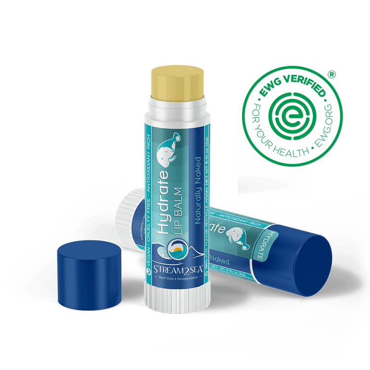 Best SPF Lip Balm