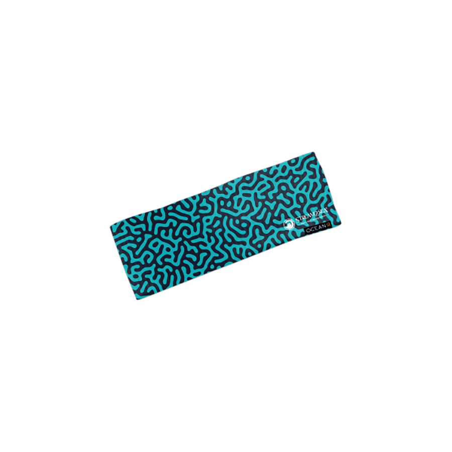 HB BCB Hair Band BrainCoral
