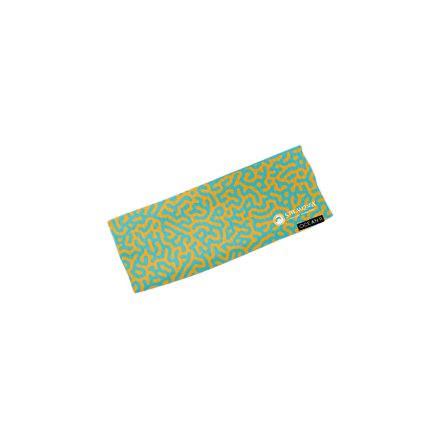 HB BCY Hair Band BrainCoral