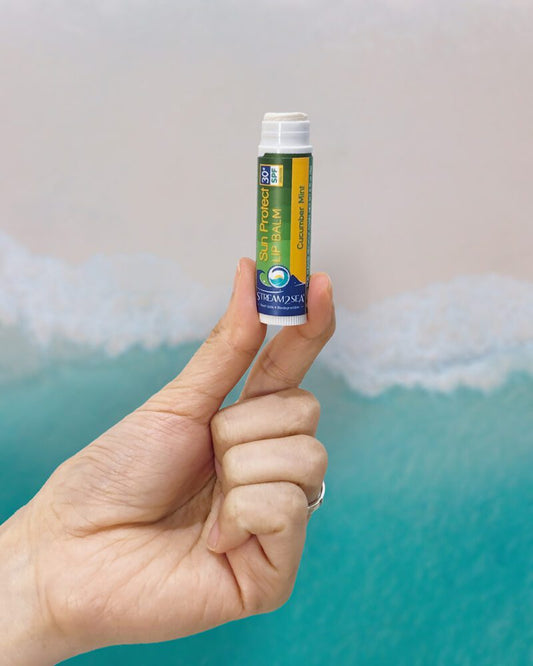Stream2Sea Cucumber Mint Lip Balm – Vegan antioxidant blend with Green Tea, Tulsi, Wakame & Olive Leaf for hydration.
