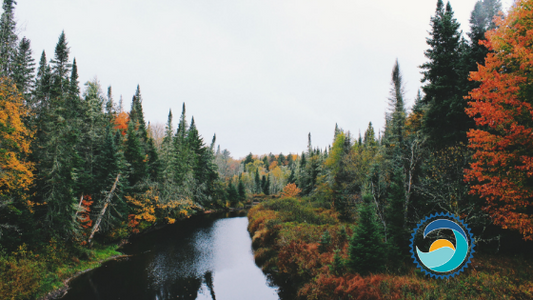 Five Favorite Fall Destinations (And How to Pack with Our Planet in Mind!) - Stream2Sea