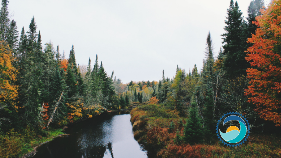 Five Favorite Fall Destinations (And How to Pack with Our Planet in Mind!)