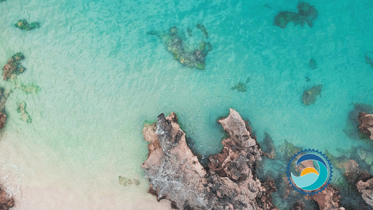 Coastal View Oxybenzone Kills Coral, oxybenzone kills coral