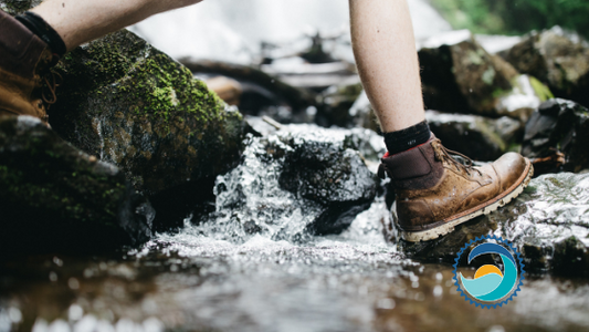 Day-to-Day Considerations for an EcoConscious Consumer - Stream2Sea