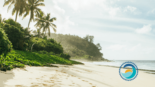 A Beach To Be Protected With Safe Sunscreen