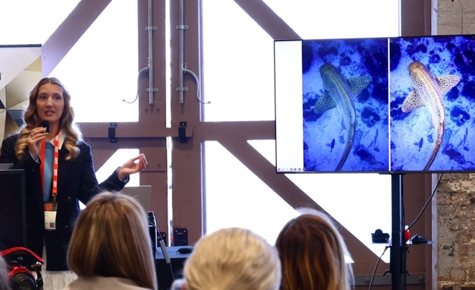 International Day of Women and Girls in Science - Gillian Shark - Stream2Sea