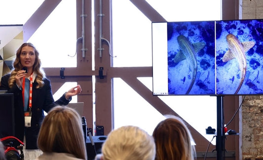 International Day of Women and Girls in Science - Gillian Shark - Stream2Sea
