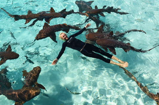 International Day of Women and Girls in Science - Jillian Morris - Stream2Sea