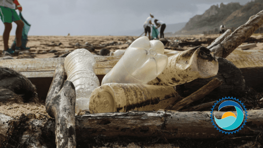 beach cleanup - trash on beach