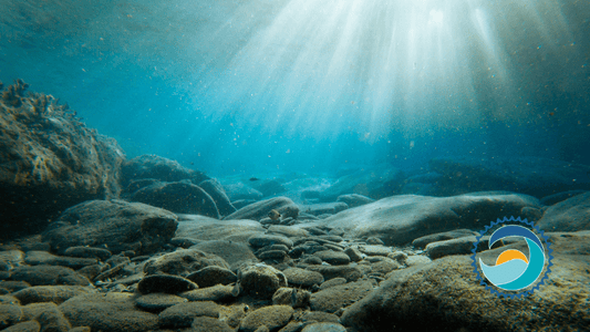 Diving Underwater, Diving - Underwater