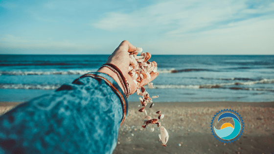 Person Being Thankful To Mother Nature By Holding Shells on the Beach