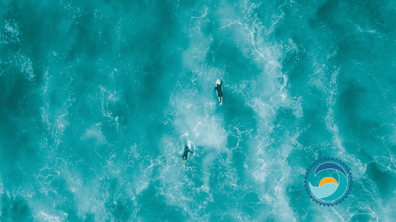 Two Rash-Guard Protected Swimmers Explore the Ocean,