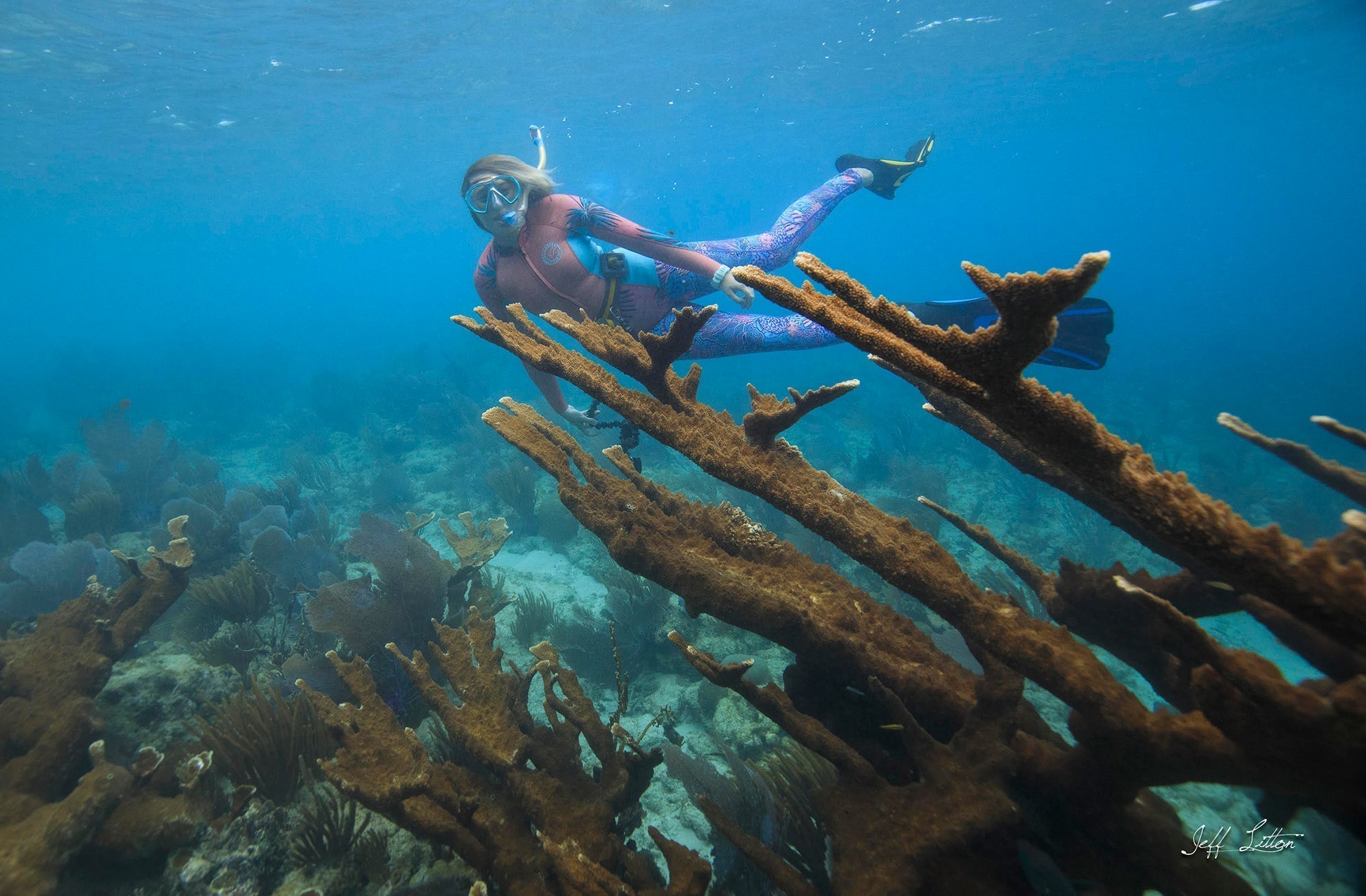 International Day of Women and Girls in Science - Rachel Crane - Stream2Sea