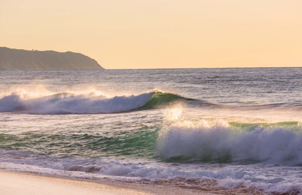 Amazing hawaiian beach[, Stream2Sea Featured Image, Stream2Sea Featured Image, Stream2Sea Featured Image[, Every Day SPF 45 Reef Safe sunscreen, Young female surfer wading in sea, Hawaii, USA, a turtle relaxing on the beach