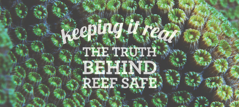Keeping it Real: Truth Behind Coral reef safer Sunscreen - Stream2Sea