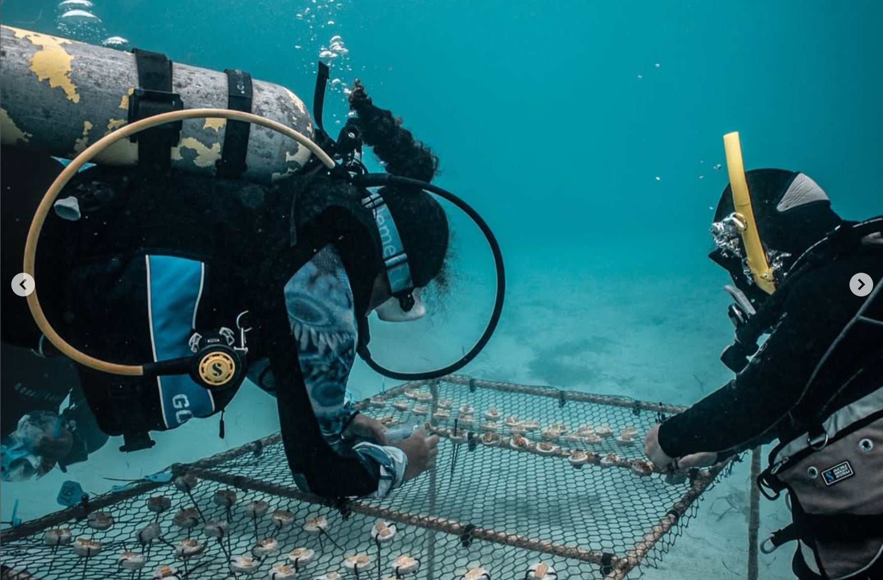 International Day of Women and Girls in Science - Stefana Roberts