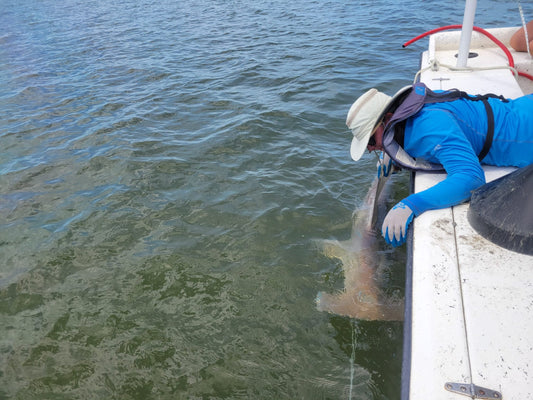 International Day of Women and Girls in Science - Sara Casareto