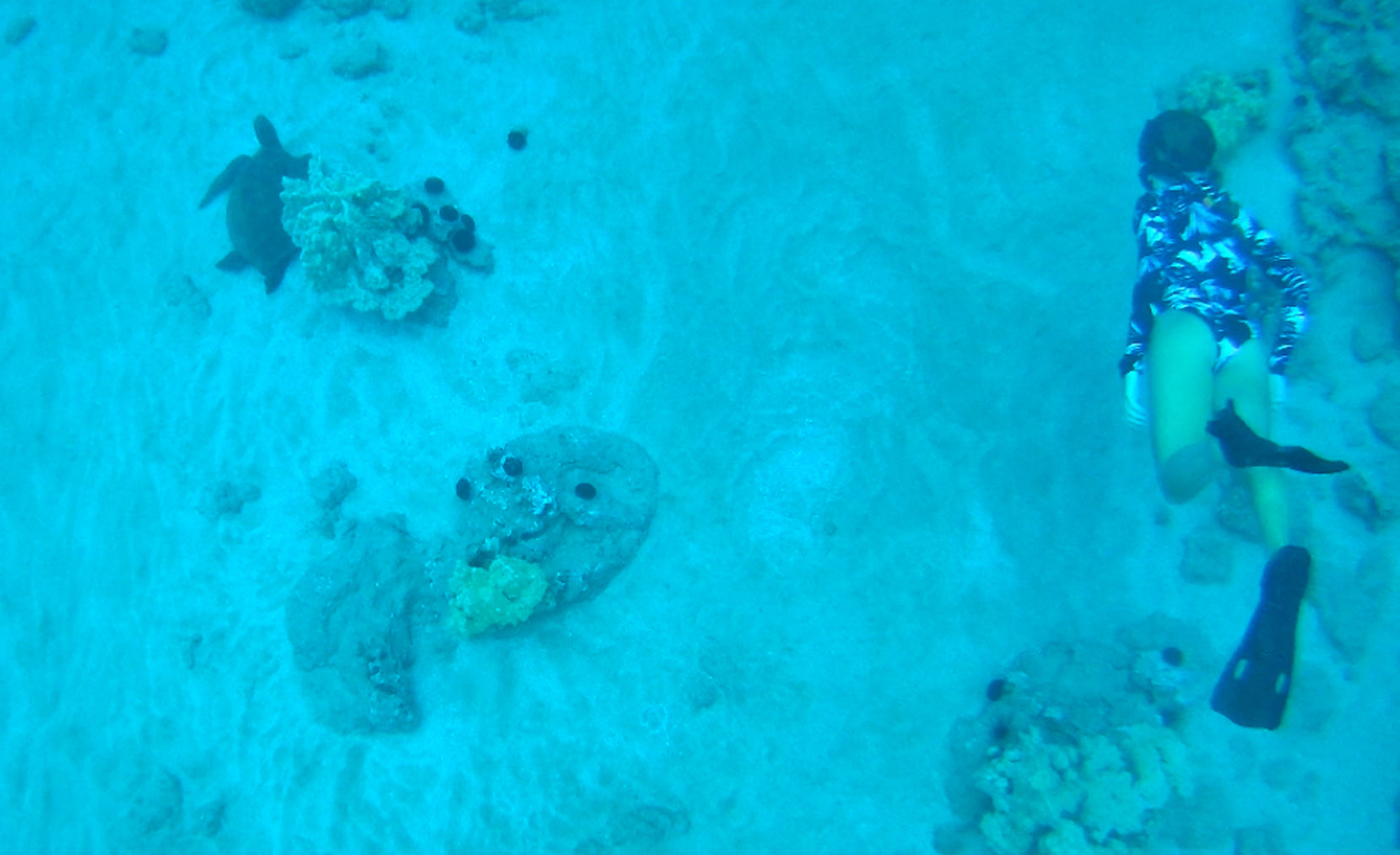 International Day of Women and Girls in Science - Sara Cornell