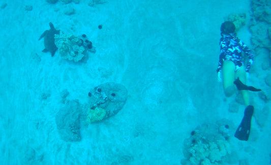 International Day of Women and Girls in Science - Sara Cornell