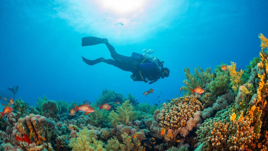 What Does “Reef Safe” Really Mean? The Truth Behind Sunscreen Claims & Why Testing Matters - Stream2Sea
