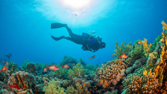 What Does “Reef Safe” Really Mean? The Truth Behind Sunscreen Claims & Why Testing Matters