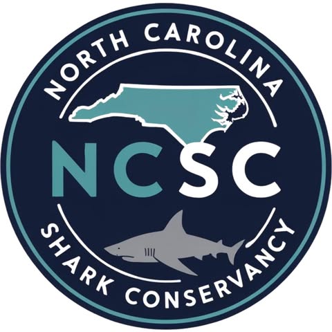 [Nonprofit] North Carolina Shark Conservancy