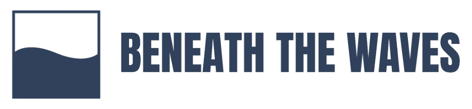 [Nonprofit] Beneath the Waves - Stream2Sea