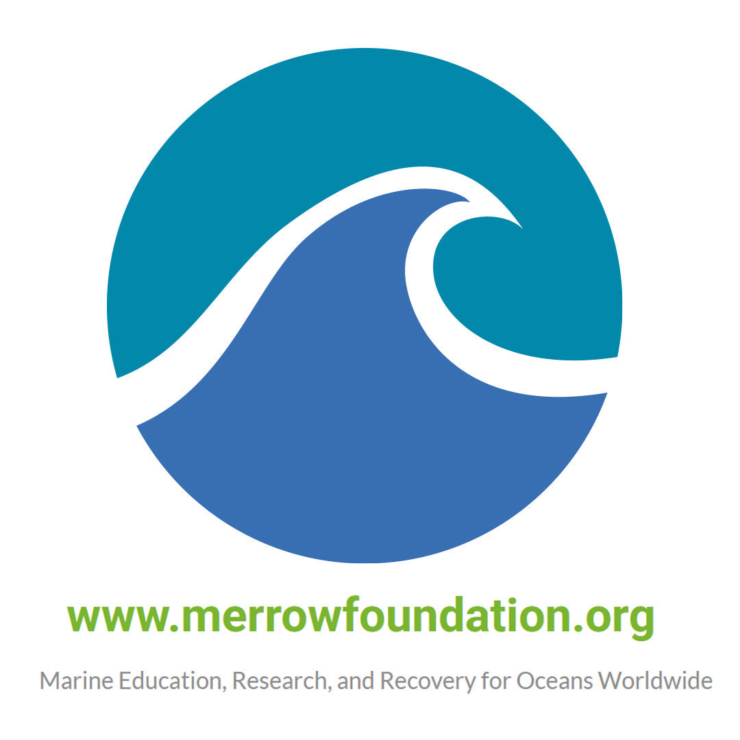 [nonprofit] MERROW Foundation