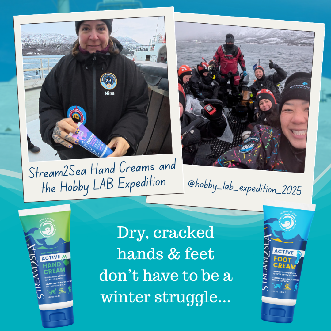 [S2S] Restore and Protect