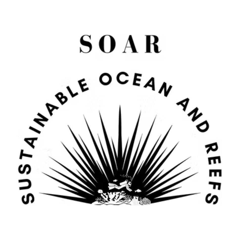 SUSTAINABLE OCEAN AND REEFS