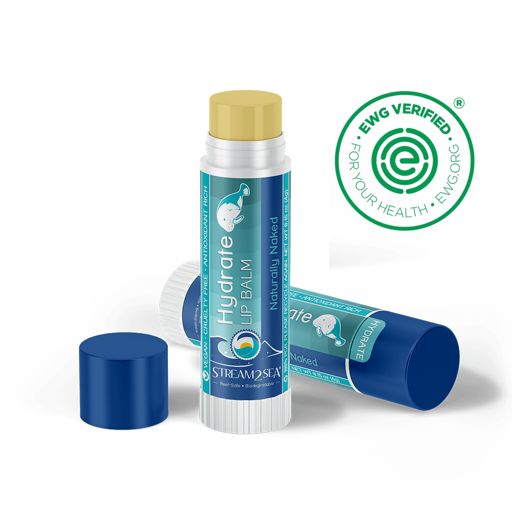 Best SPF Lip Balm