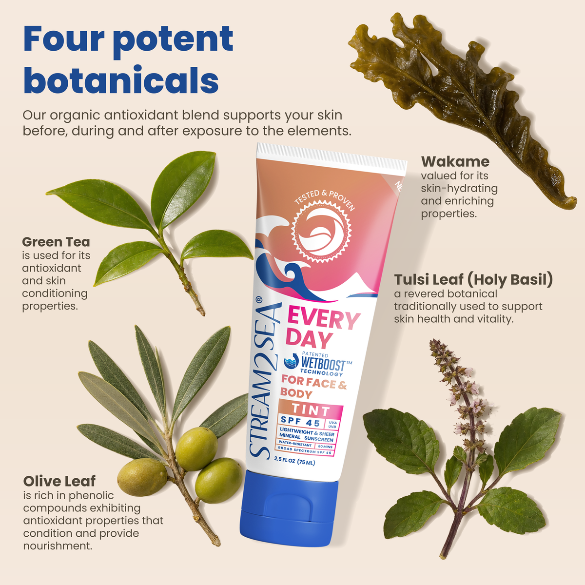 Every Day Sunscreen SPF 45 - Tint