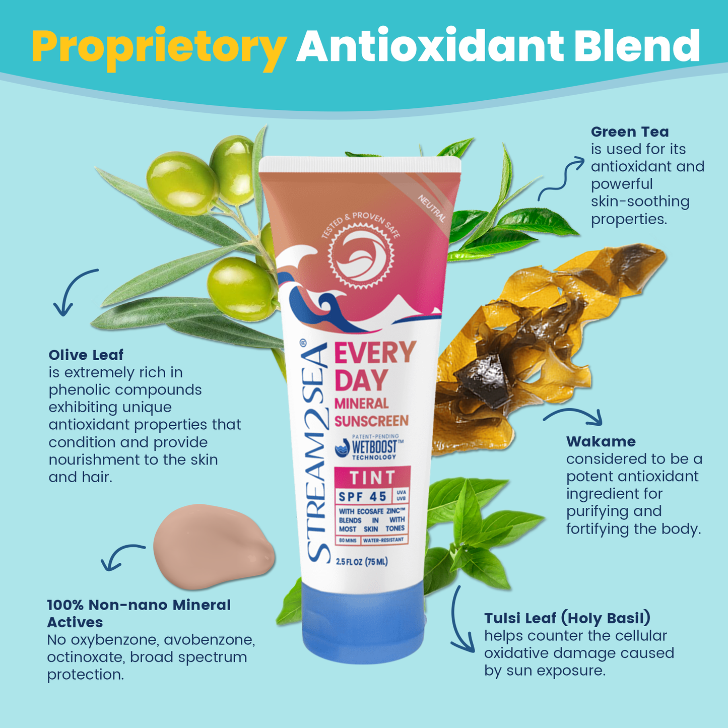 Every Day Sunscreen SPF 45 - Tint