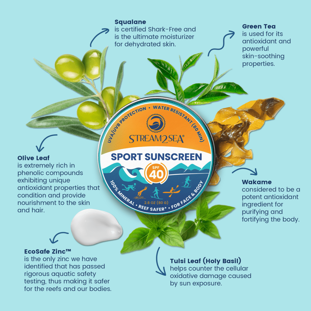 Organic Antioxidants
