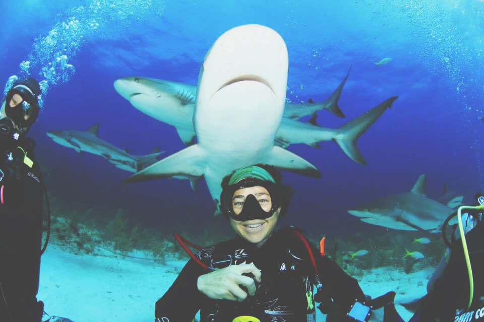 Autumn Diving With Sharks