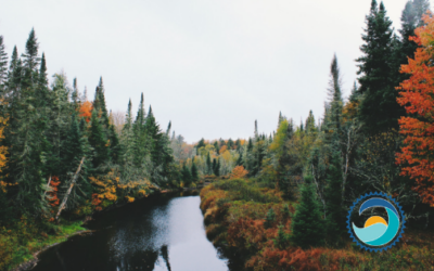 Five Favorite Fall Destinations (And How to Pack with Our Planet in Mind!)