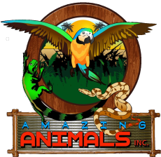 Amazing Animals Inc