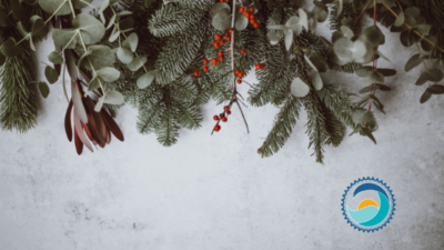 Minimalist Christmas Decoration, Reducing Waste this Holiday Season