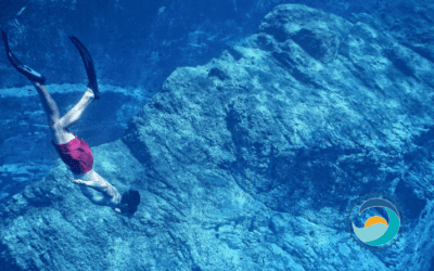 Between the Ocean and You: Freediving Ecoconsciously