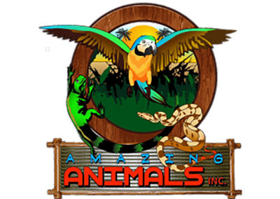 Amazing Animals Logo