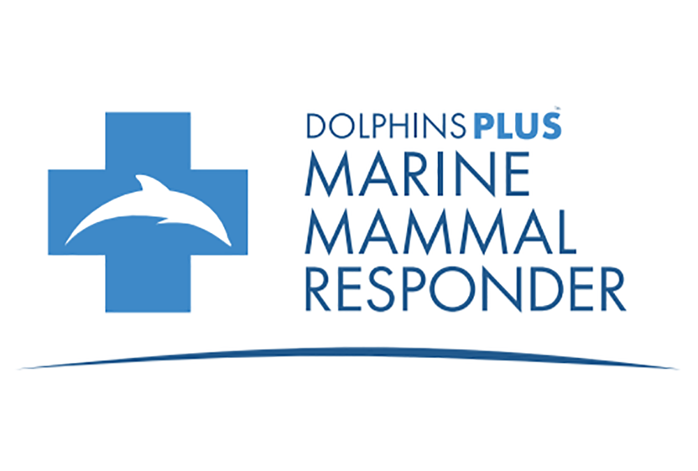 Dolphins Plus Marine Mammal Responder - Stream2Sea: Tested & Proven ...