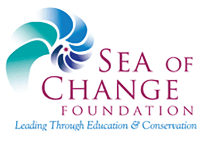 Seaof Change Foundation Logo