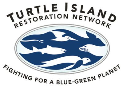 Turtle Island Restoration Network - Stream2Sea