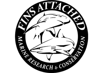 Fins Attached Logo