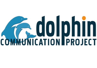 Dolphin-Communication-Project