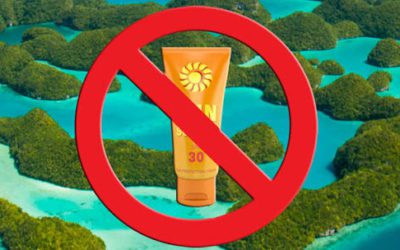 The Republic of Palau Adopts the World’s Strictest National Sunscreen Standard