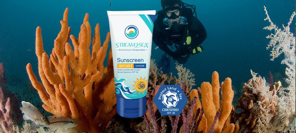 reef safe sunscreen keepingitreal_testingfishandcoral